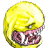 jhodge