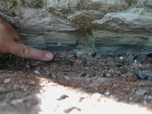 The 66-million-year-old Cretaceous-Paleogene (K-Pg) boundary layer at Stevns Klint in Denmark.