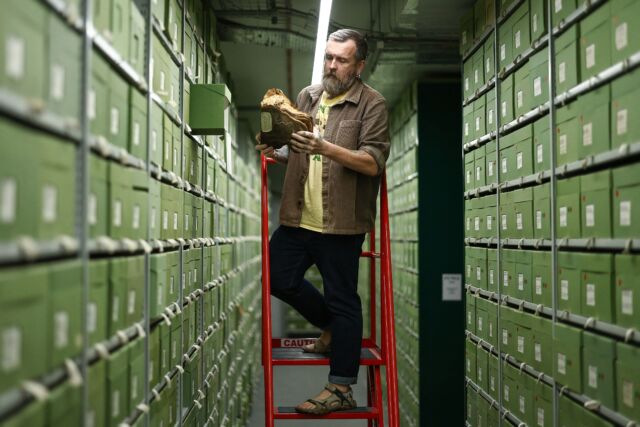 Fungarium Collections Manager Lee Davies inspects a fungus sample stored within the Fungarium at the Royal Botanic Gardens in Kew, west London in 2023.